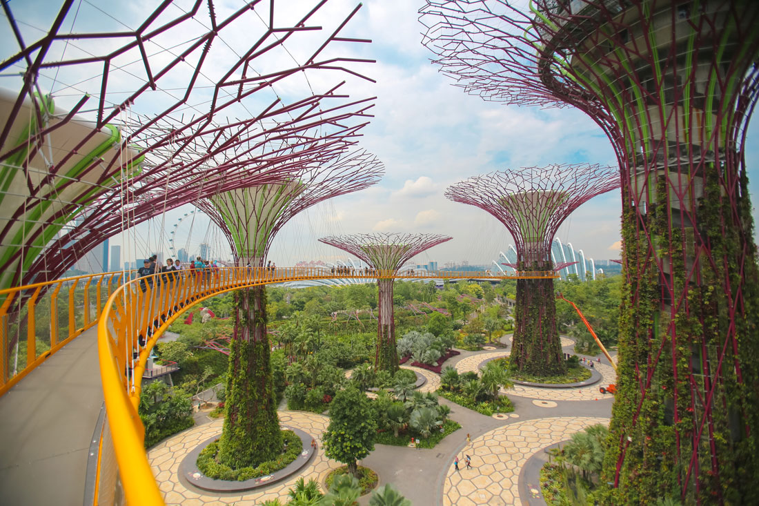 Day 5: Experience the Wonder of nature at Garden by the Bay and Marina Bay Sky Pass