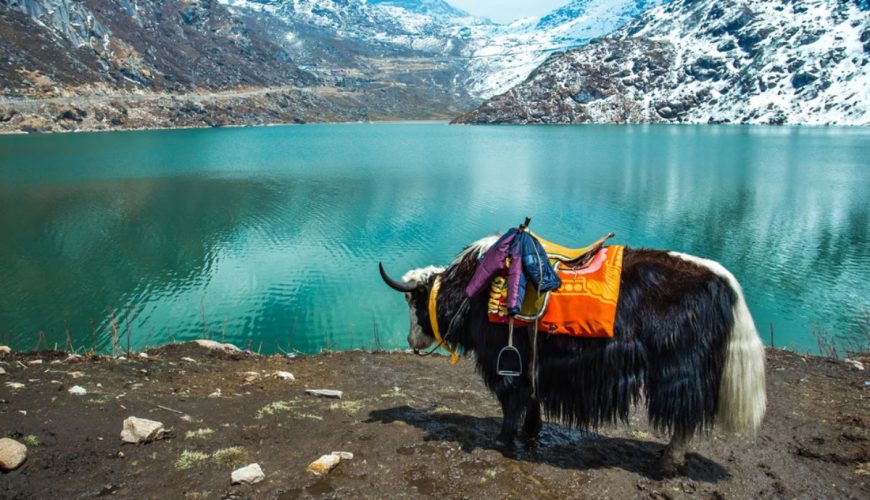 Discover the enchanting beauty of Sikkim